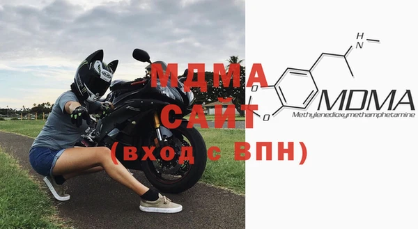 прущие грибы Елабуга
